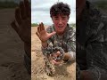 ATTACKED BY A SNAKE