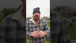 What are your favourite Rhubarb varieties?