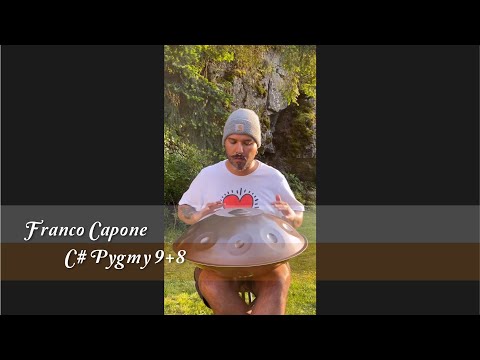 MrPans handpan - C# Pygmy 9+8 - Franco Capone