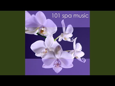 Zen Garden - Koto Music