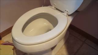 DIY 101 How To Remove & Replace a Toilet Seat