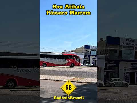 Sou Atibaia X Pássaro Marrom em Atibaia SP #short #rodoviabraszil #onibus #viagem #atibaia #brasil