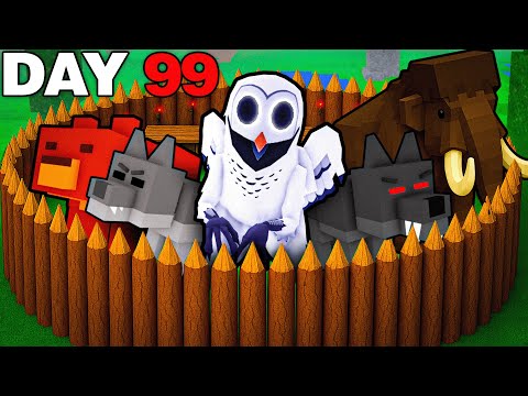 I Built a SAFE ENTITY Base in 99 Nights in the Forest!