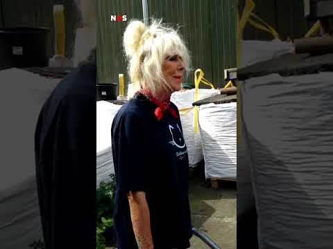 Anja takes care of 600 cats: &lsquo;I know them all by name&rsquo;