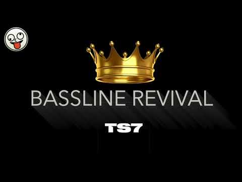 TS7 - The King / BASSLINE NICHE 4x4 HOUSE / BASSLINE REVIVAL
