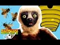 Zoboomafoo 140 Bzzz HD Full Episode