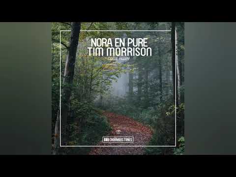 Nora En Pure & Tim Morrison - Come Away