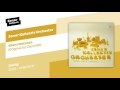 Sonar Kollektiv Orchester - Silent Distance (Original by Clara Hill)