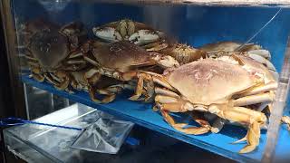 The $900.00 King Crab at O Mandarin  Chinese Restaurant in Hicksville, NY