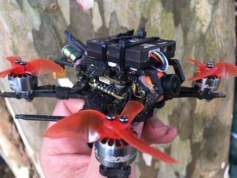 Exploring forest at new FPV spot