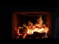 Бьётся в тесной печурке огонь 