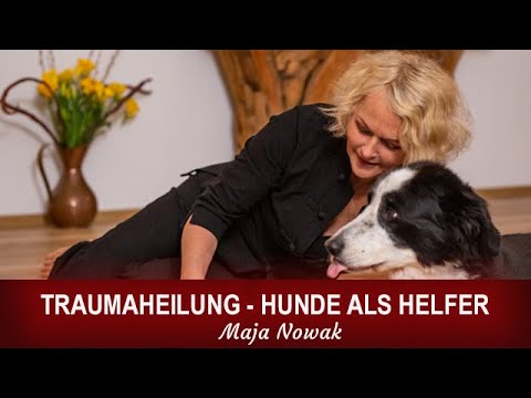 Traumaheilung - Hunde als Helfer - Das Gespräch mit Maja Nowak führt Lea Hamann