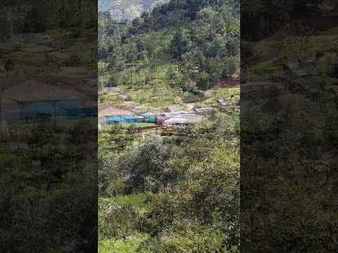 Carretera De Tejutla A San Marcos, Guatemala. (02) (25/Octubre/2025)