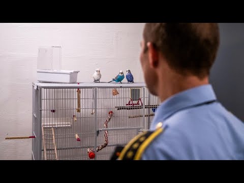 Ferske bilder: Slik soner Breivik