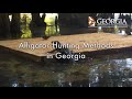 Alligator Hunting Methods In Georgia
