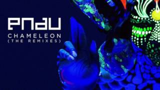 Chameleon Pnau Lyrics | ATP Music