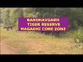 Bandhavgarh National Park Magadhi Zone Bandhavgarh Bandhavgarh Core Zone Bandhavgarh Best Zone