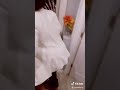 What S Love Got To Do With It Movie Scene