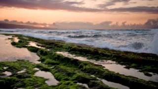 Maui Surf, Sunrise & Sunsets by David Baker & Ranga Pae