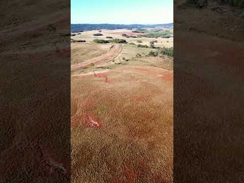 Fazenda de 686 hectares