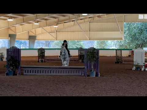 Texas Moonshine video 4