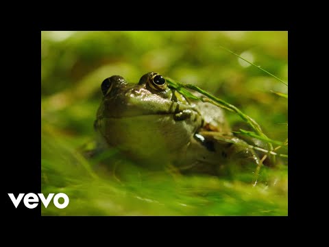 piri, Tommy Villiers - nice 2 me