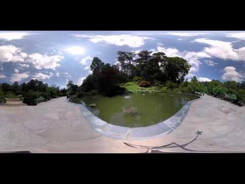 Pond at Duke Gardens