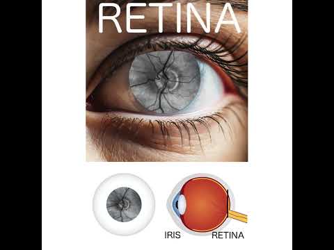 RetinaDesign Goldschmiede für Eheringe und Schmuck YouTube-Vdeominiatur 16