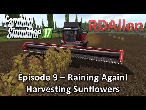 Farming Simulator 17 Multiplayer Sosnovka E9 - Raining Again!  Harvesting Sunflowers