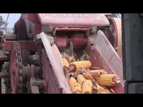 Horse Powered Equipment at Old Threshers' Reunion