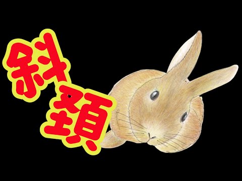 ウサギの主な眼疾患とその治療