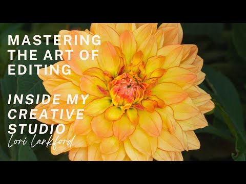 Master the art of editing | Painting in Photoshop with free impressionistic brushes!