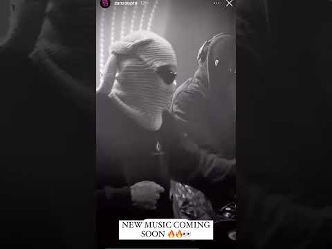 2wobunnies effect 🔥🔥✨ #djmaphorisa #amapiano #pianobacardi #2wobunnies