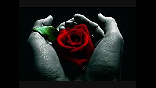 Stone Temple Pilots - Black Again   W/Lyrics