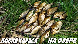Ссылка
