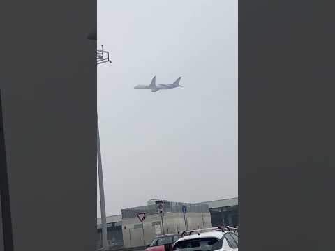 Thai Airways Boeing 787 dreamliner Milan - Bangkok 🇮🇹🇹🇭