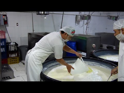 LACTEOS LA CAQUETEÑA   SAN VICENTE DEL CAGUAN   CAQUETA