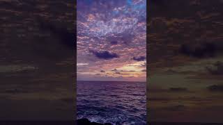 Purple sunset, beautiful sunset scenery, sea bird sounds - sunrise sunset