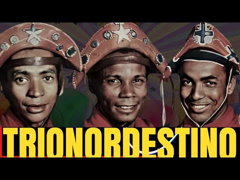 🎶🎶OS SUCESSOS INESQUECÍVEIS, FORRÓ DO TRIO NORDESTINO (SÃO JOÃO 2023)