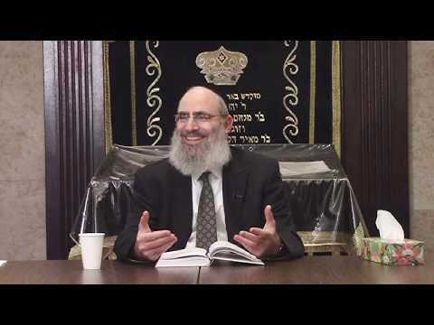 Tanya: The Holy Epistle (Iggeret HaKodesh): Epistle 23 - Part 2: Rabbi Krasnianski.
