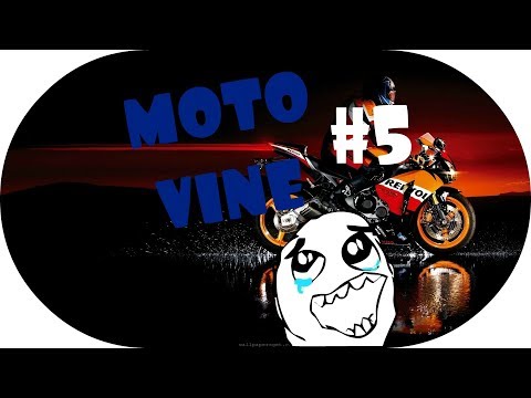 MOTO VINE #5