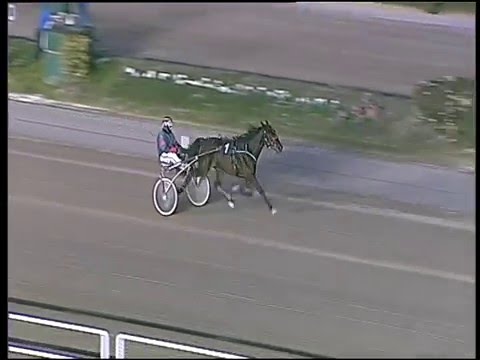 Trotto 21/02/2016 - prova di qualifica