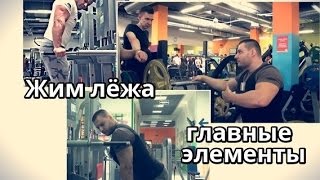 Вся информация про жим лежа - Видео онлайн