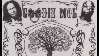 Goodie Mob - Black Ice