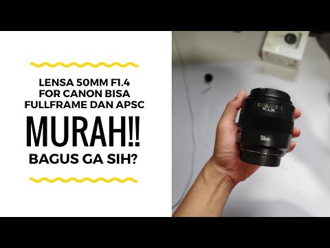 Video thumbnail for Video Review 2