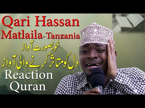 download lagu mp3 mp4 Misri Qari, download mp3 Misri Qari free download, download mp3 Misri Qari