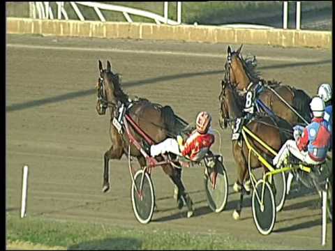 Trotto 26/02/2017 - 5ª corsa