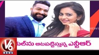 Jr. NTR Romance with Rakul Preet Singh l NTR - Sukumar film l Tollywood Gossips - V6 News