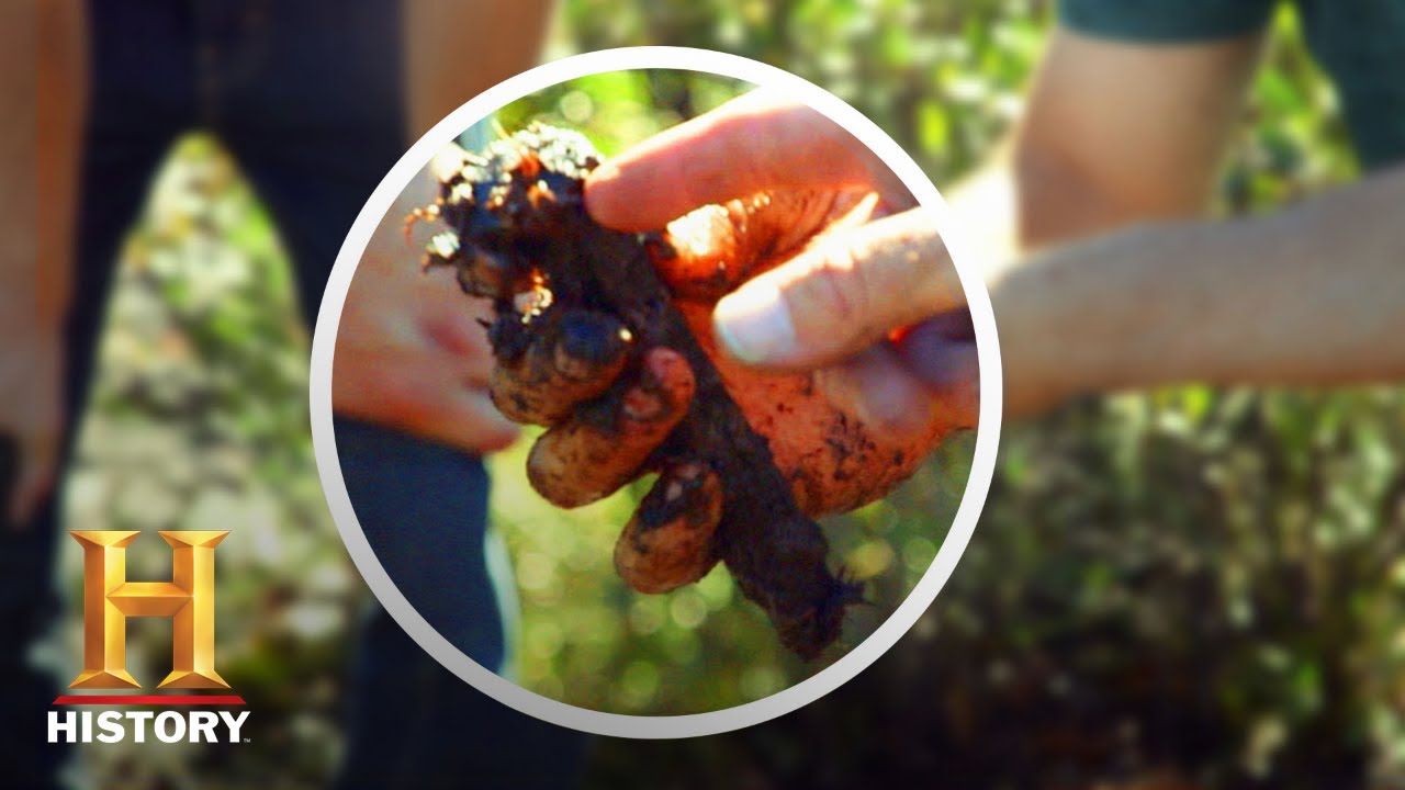 YouTube Thumbnail Downloader FULL HQ IMAGE