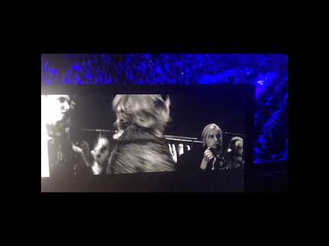 Fashion Show Julia Dilua by Didencol Prod.